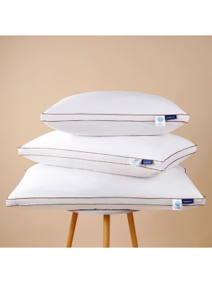 Evacove® Cassette Double-Stitched Compartment  Luxe Goose Down Pillow Core
